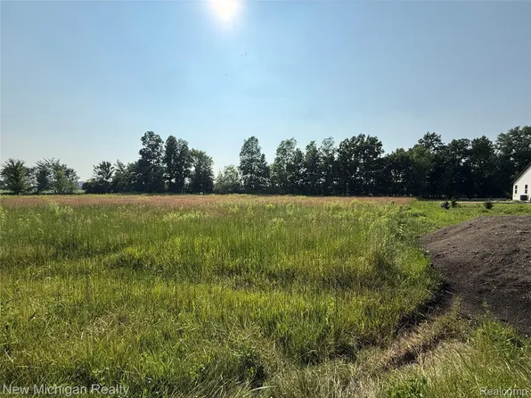 9807 Oak Ridge Rd, New Lothrop, MI 48460