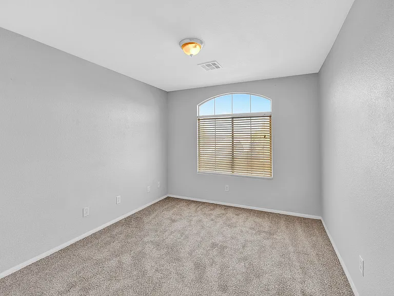1009 Black Olive St — Photo 17