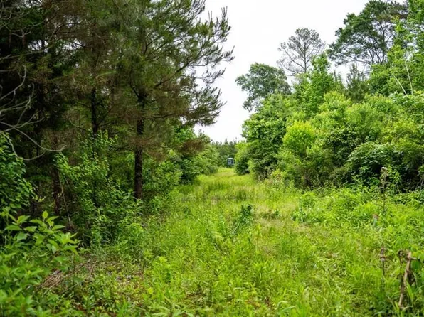 7400 Amon Hill Rd, Bastrop, LA 71220