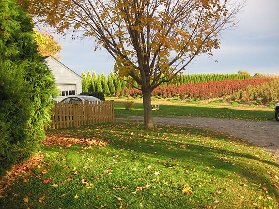 Country views & great sunsets