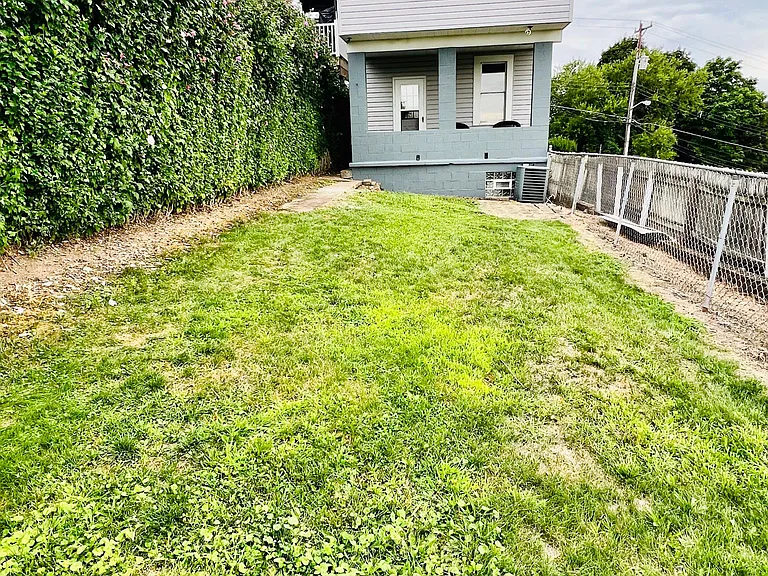 Back yard