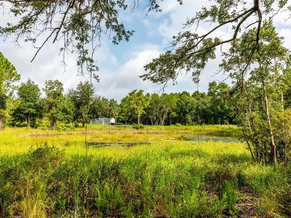 0 Wild Acres Trl, Paisley, FL 32767