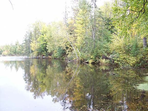 3rd image of 19 Pixley Wilderness Shores Rd