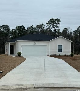 307 Horsetail Ct #259, Little River, SC, 29566