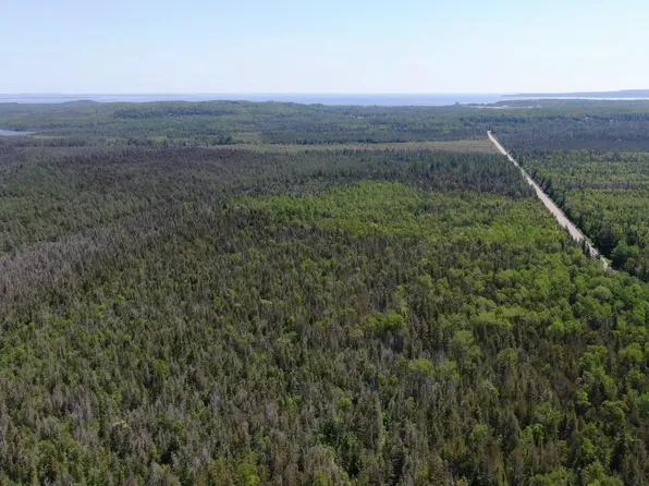 Cheeseman Rd, Saint Ignace, MI 49781