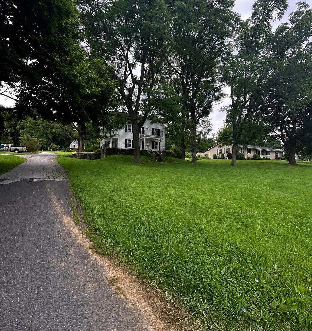 2 bed, 1237 sqft, $1,100 — Photo 3