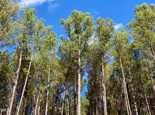 586 Anneliis Ln #64, Siler City, NC 27344