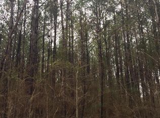 00 Young Rd, Prentiss, MS 39474