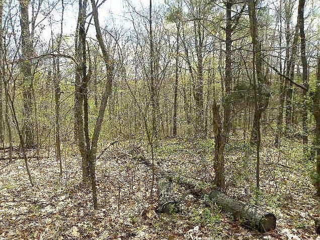 2nd image of 5190 Sweetwater Trl