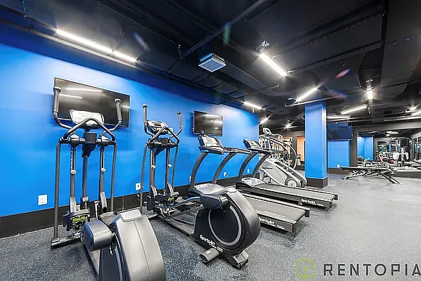 Rented by Rentopia | media 55