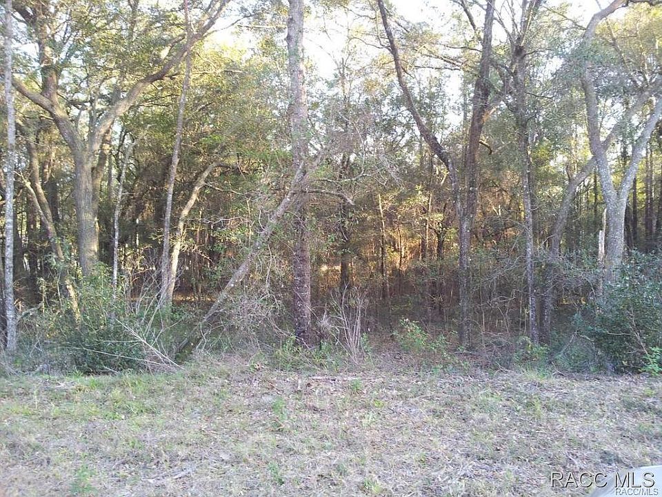 2nd image of 10549 N Adler Dr