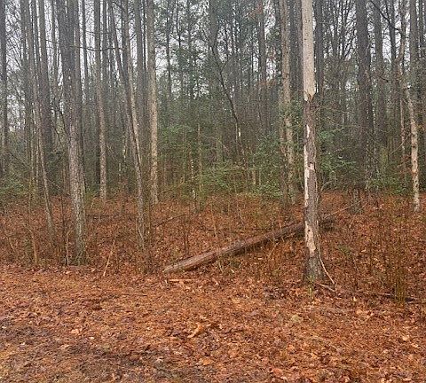 3rd image of 26400 Cherry Hill Rd #7