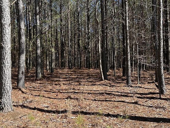 5th image of 4210 Raulston Falls Rd #118