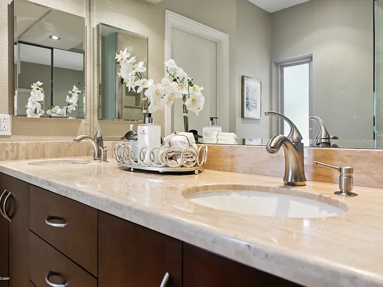 dual sinks