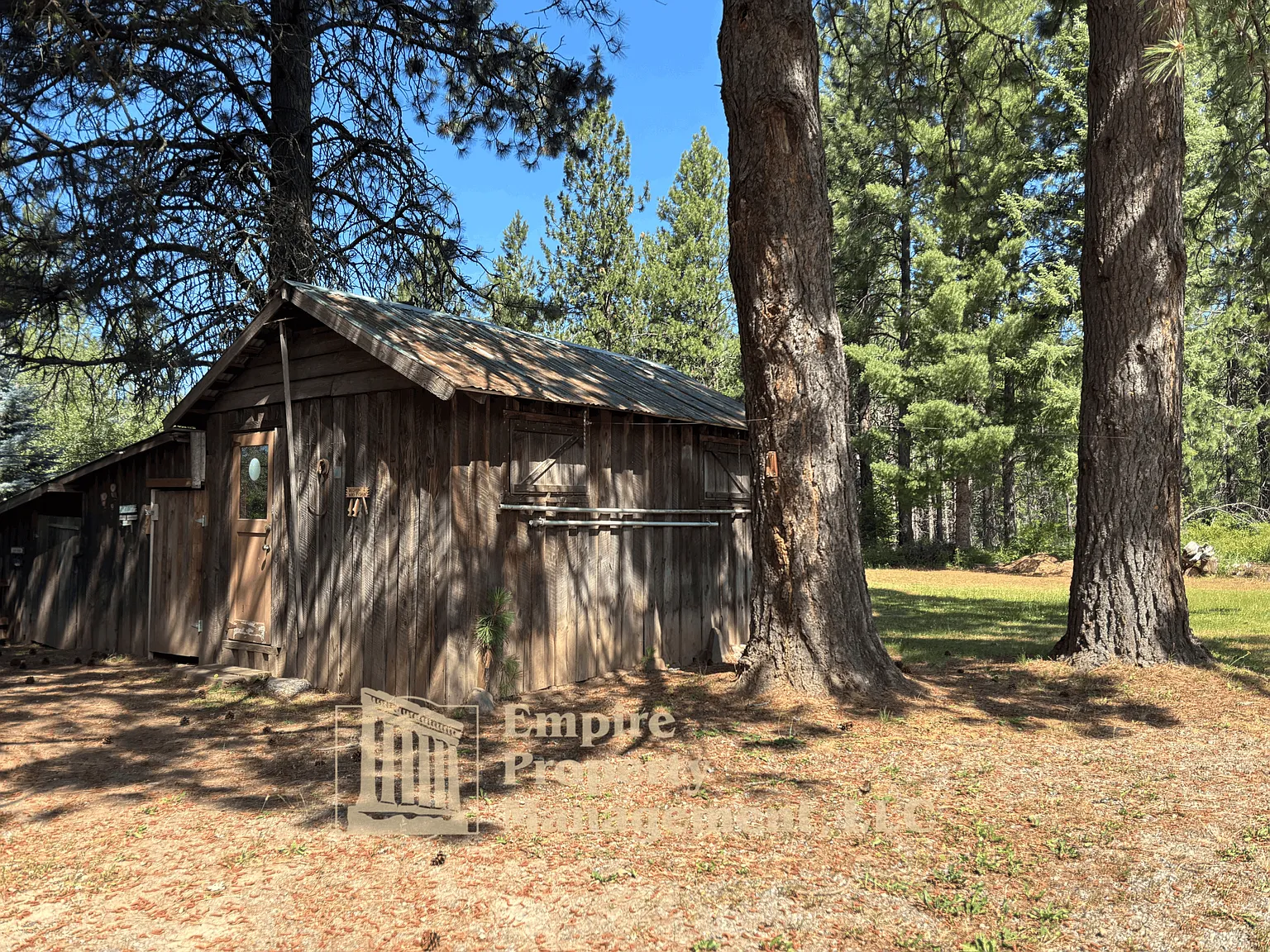 10239 Baldy Mountain Road - 1 — Photo 4