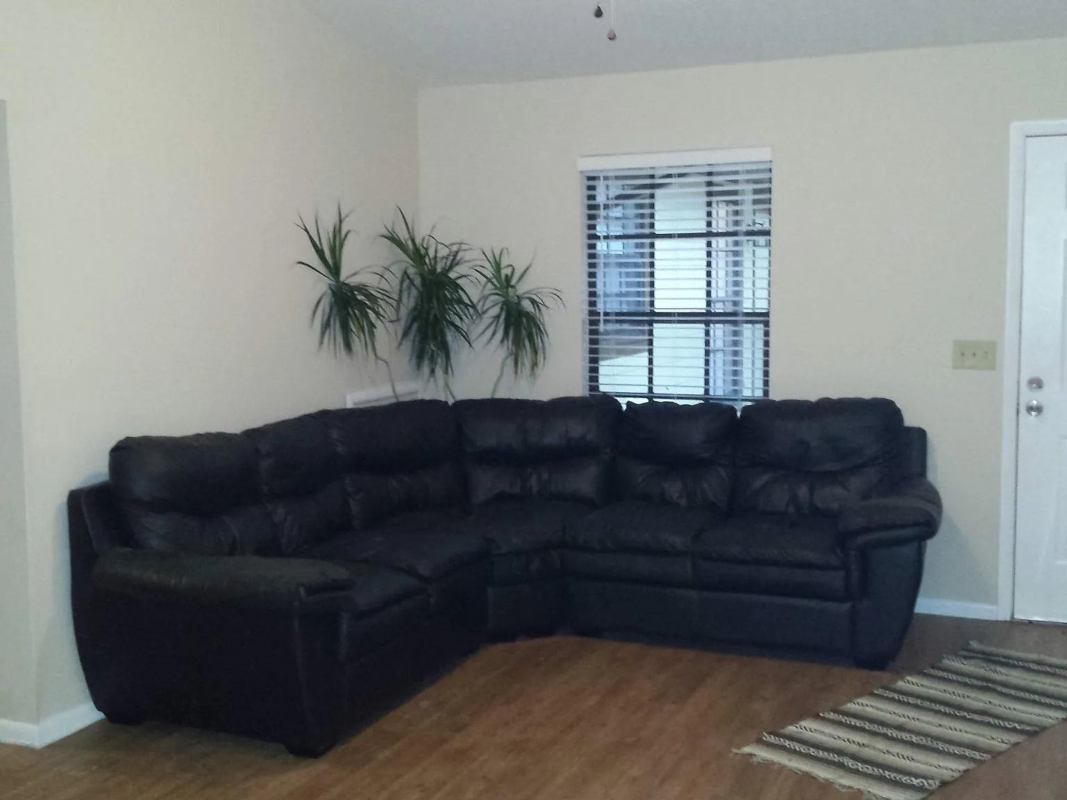 2 bed, 900 sqft, $1,795 — Photo 3