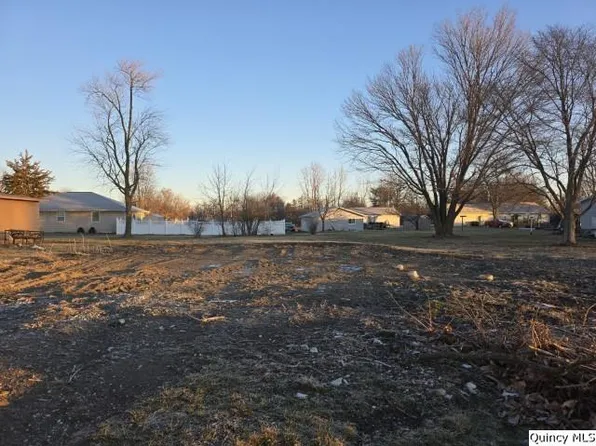 1005 Augusta Rd, Carthage, IL 62321