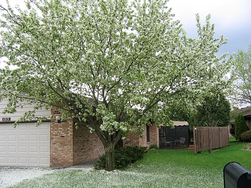 1215 Archer Ln N #1215 Photo 1