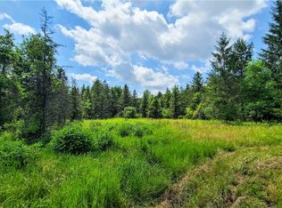 5185 Terrell Rd, Trumansburg, NY 14886