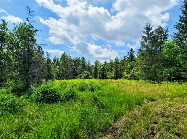 5185 Terrell Rd, Trumansburg, NY 14886