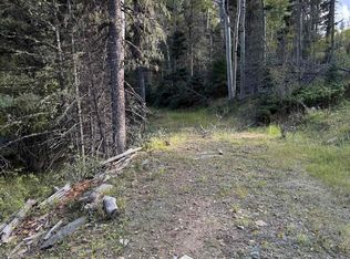 77 Via De Maria, Angel Fire, NM 87710