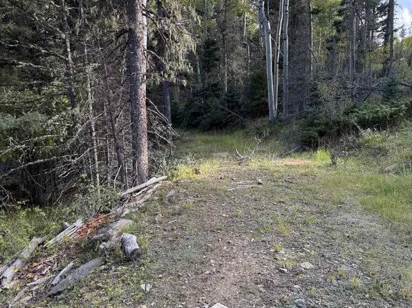 77 Via De Maria, Angel Fire, NM 87710