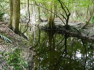5th image of 8340 Us Highway 301