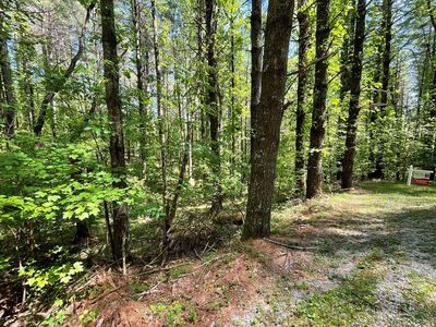 LOT 8 Mountain Meadows Rd, Franklin, NC, 28734