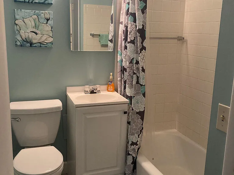 Shower/tub