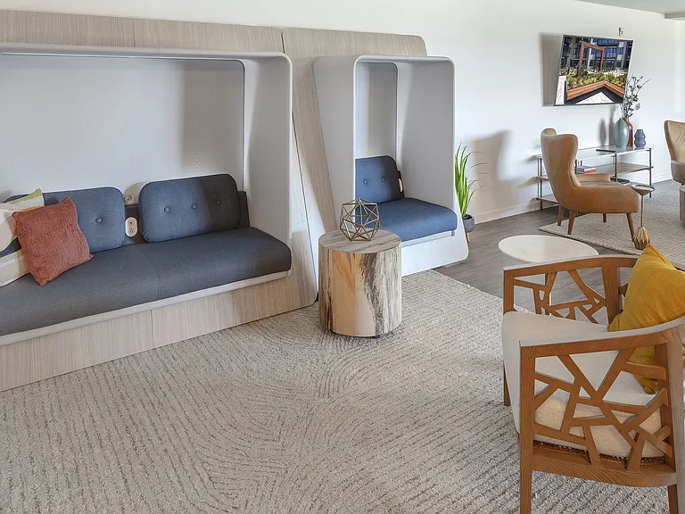 Aria — Photo 27