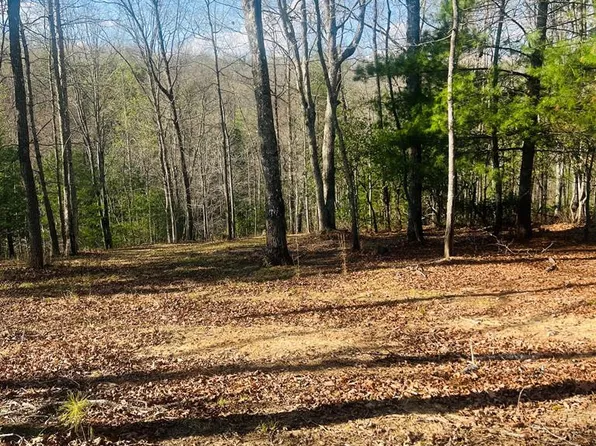 0 Ford Ln Lot 4, Murphy, NC 28906