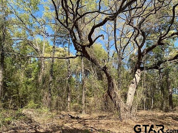 4th image of Broad Mdw