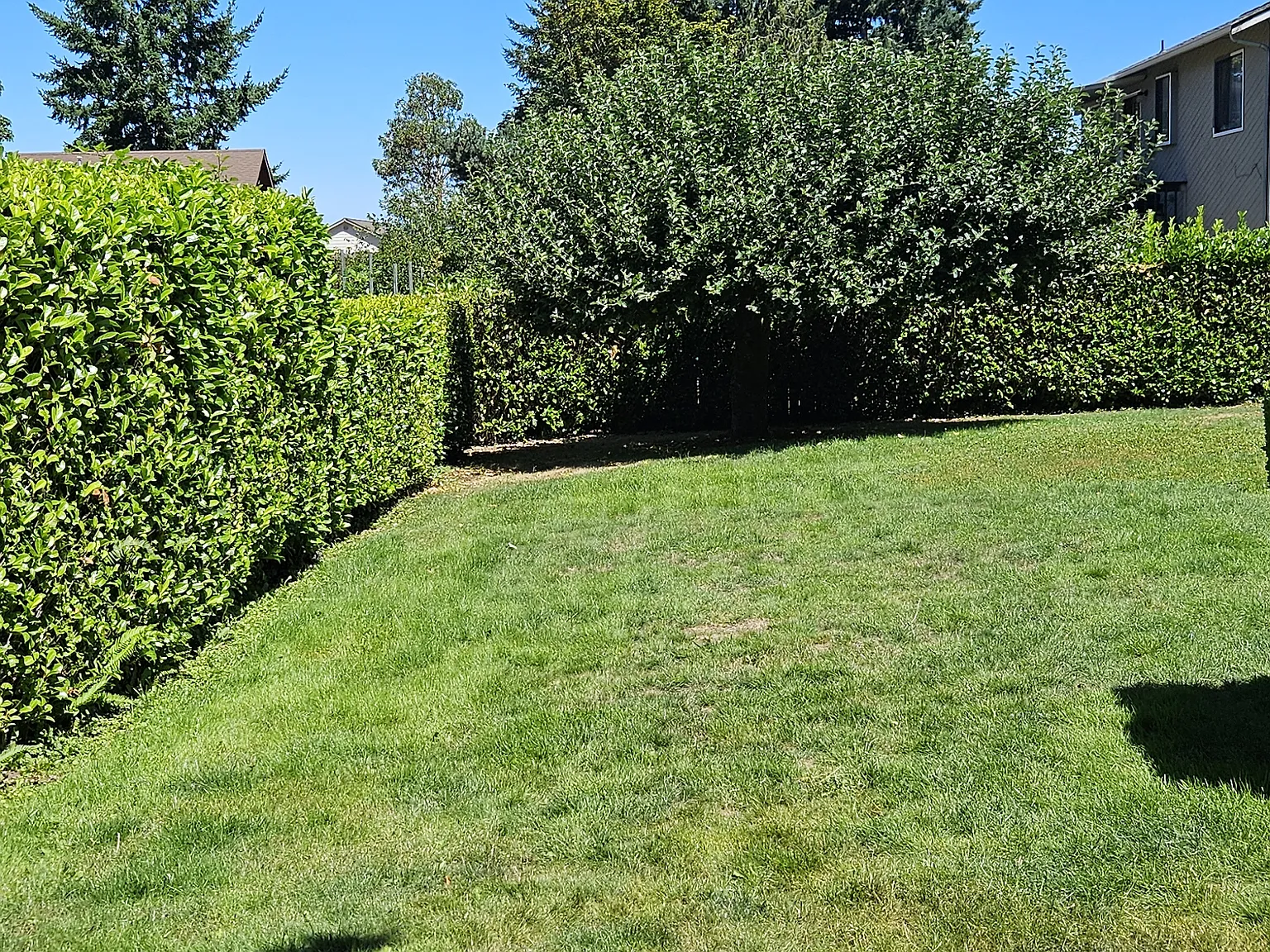 Yearley Dr NE, Olympia — Photo 4
