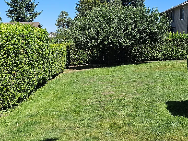 Yearley Dr NE — Photo 4