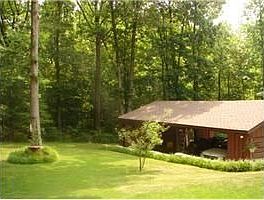 View from Back Porch into your private 5 acres of hardwoods