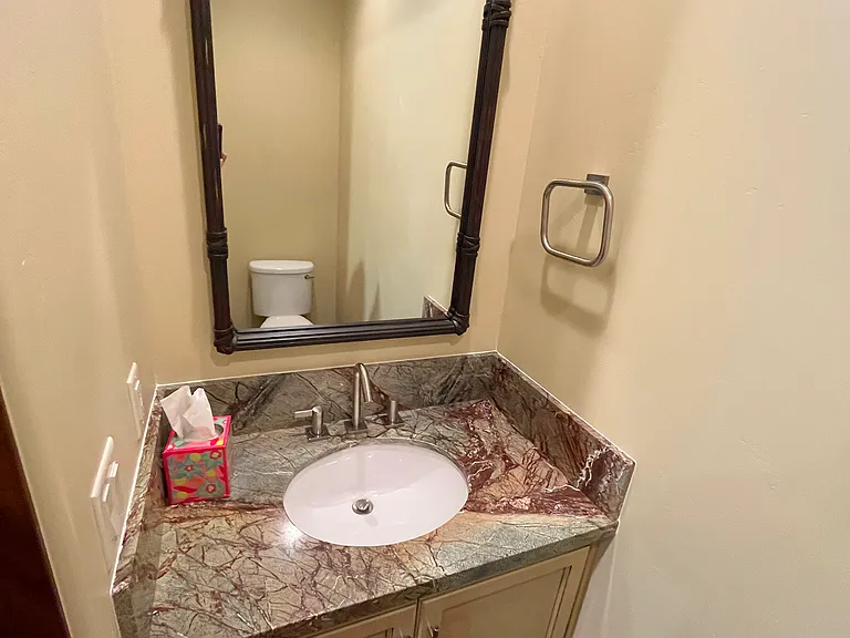 Lower Powder Room off Lower Media Room