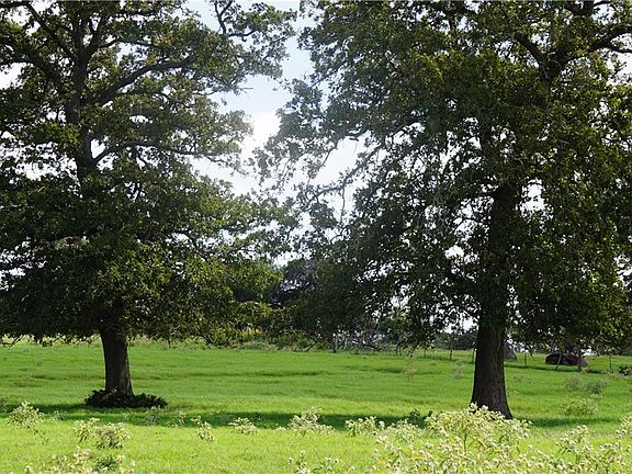 5th image of County Road 323