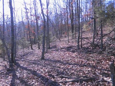 Off Hwy FRONT 62, Eureka Springs, AR, 72632