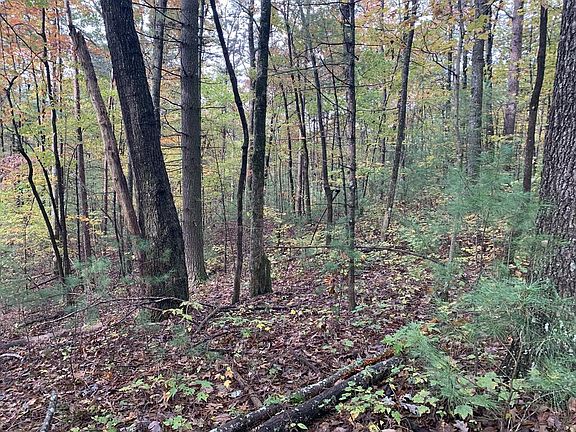 3rd image of 9 Dover Falls Trl