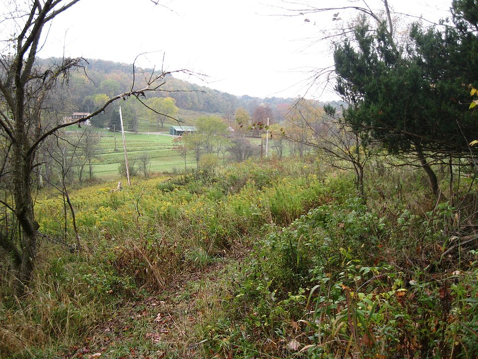 Top of property looking down