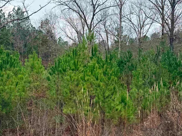 Armstrong Rd #0, Hayden, AL 35079
