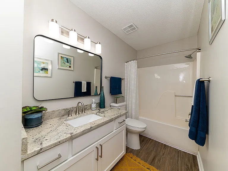 Bright bathroom with granite counters and bathtub