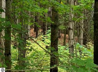 504 Cool Rd SE, Kalkaska, MI 49646