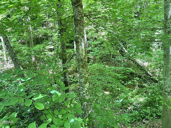 2nd image of 110 Fir Dr
