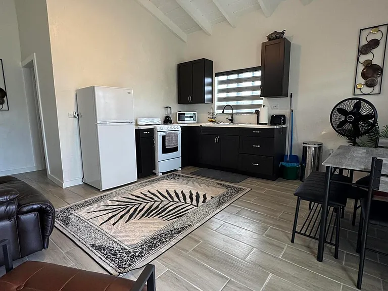 47 Three La Grande Princesse Cir #H — Photo 6