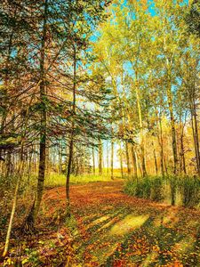 780 County Road 89, Baudette, MN, 56623