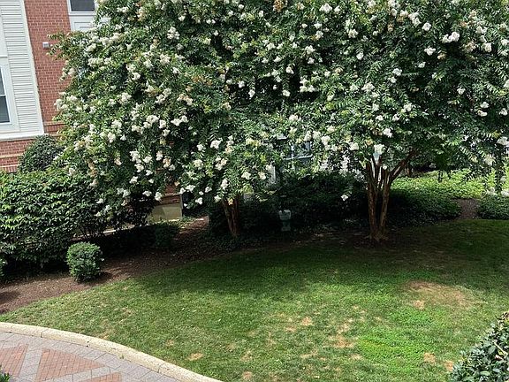 2nd image of 9480 Virginia Ctr #229