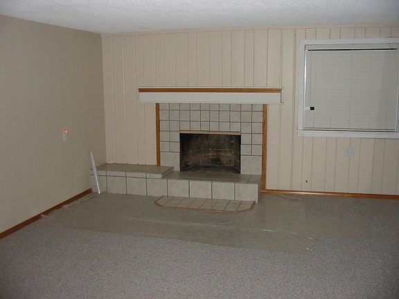 Updated Fireplace