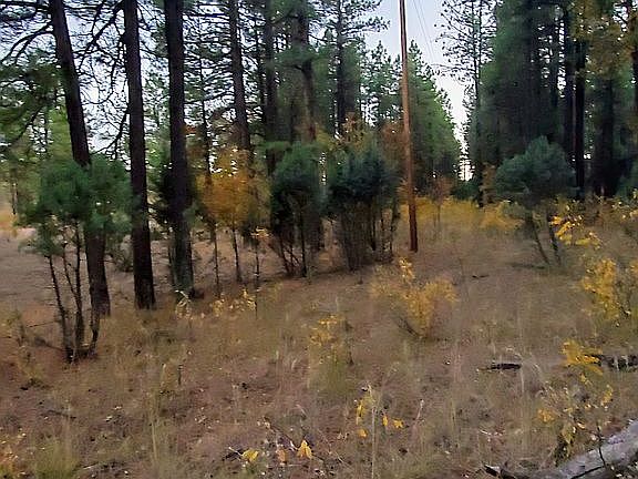 5th image of 620 Rim Dr