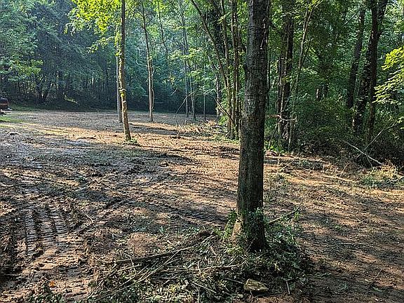 4th image of 1530 County Road 222